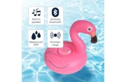 Celly Poolspeaker Opblaasbare Flamingo 8 Celly Poolspeaker Opblaasbare Flamingo -Hayward Verkoopwinkel celly poolspeaker opblaasbare flamingo 2