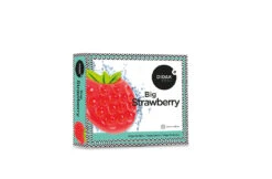 Didak Pool Opblaas Aardbei 140 Cm -Hayward Verkoopwinkel didak pool opblaas aardbei 140 cm 2