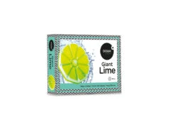 Didak Pool Opblaas Limoen 120 Cm -Hayward Verkoopwinkel didak pool opblaas limoen 120 cm 2