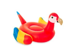 Didak Pool Opblaas Papagaai XL