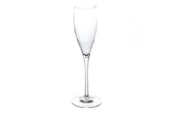 Life™ Spa & Hot Tub Essentials Life Spa Champagneglazen - 2 Stuks -Hayward Verkoopwinkel life spa hot tub essentials life spa champagneglaz 2