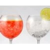 Superglas Club HappyGlass Miss Liza Gin Tonic Glas 630 Ml Set Van 2 Stuks -Hayward Verkoopwinkel superglas club happyglass miss liza gin tonic glas