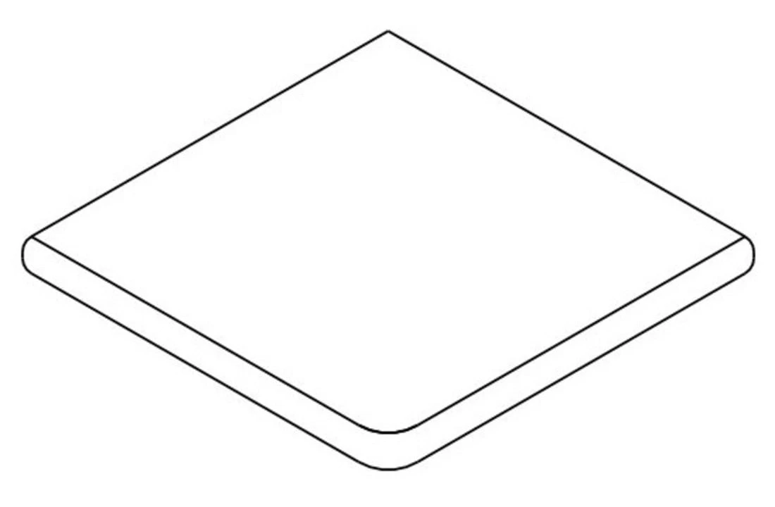 Terato Buitenhoek Asian Blue Afgeronde Neus 2 Terato Buitenhoek Asian Blue Afgeronde Neus - Afbeelding 2