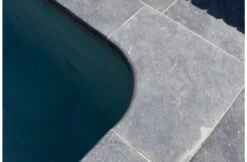 Terato Buitenhoek Asian Blue Afgeronde Neus 7 Terato Buitenhoek Asian Blue Afgeronde Neus -Hayward Verkoopwinkel terato buitenhoek asian blue afgeronde neus 3