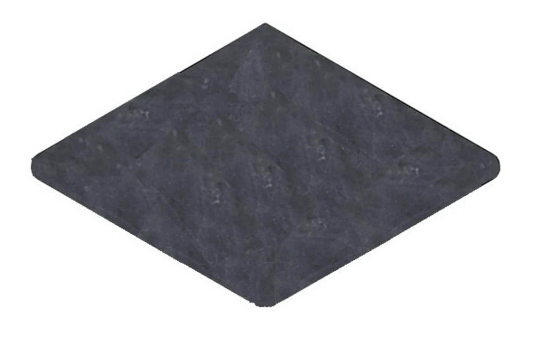 Terato Buitenhoek Asian Blue Afgeronde Neus 1 Terato Buitenhoek Asian Blue Afgeronde Neus