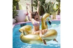 The Essentials Opblaas Zwaan Goud XL -Hayward Verkoopwinkel the essentials opblaas zwaan goud xl 2