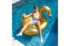 The Essentials Opblaas Zwaan Goud XL -Hayward Verkoopwinkel the essentials opblaas zwaan goud xl 4