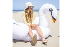 The Essentials Opblaas Zwaan Wit XL -Hayward Verkoopwinkel the essentials opblaas zwaan wit xl 3