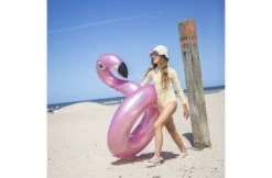 The Essentials Zwemband Flamingo 110 Cm -Hayward Verkoopwinkel the essentials zwemband flamingo 110 cm 3