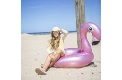 The Essentials Zwemband Flamingo 110 Cm -Hayward Verkoopwinkel the essentials zwemband flamingo 110 cm 4