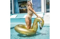 The Essentials Zwemband Gouden Zwaan 110 Cm -Hayward Verkoopwinkel the essentials zwemband gouden zwaan 110 cm 1