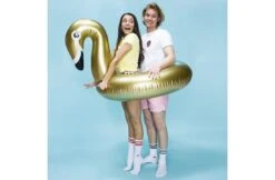 The Essentials Zwemband Gouden Zwaan 110 Cm -Hayward Verkoopwinkel the essentials zwemband gouden zwaan 110 cm 4